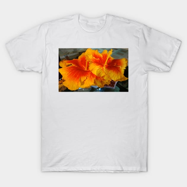 Double Orange T-Shirt by jennyleeandjim